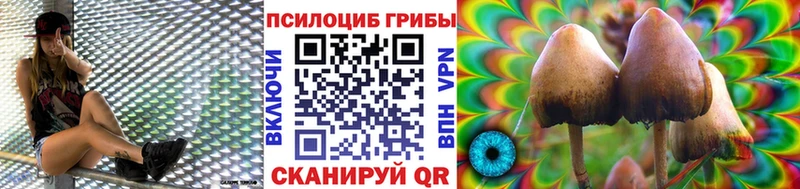 хочу   Кизилюрт  Псилоцибиновые грибы MAGIC MUSHROOMS 